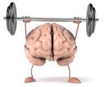 muscle-memory-brain-barbell